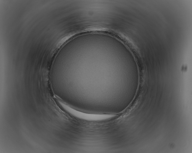 X0000092321169200710121517