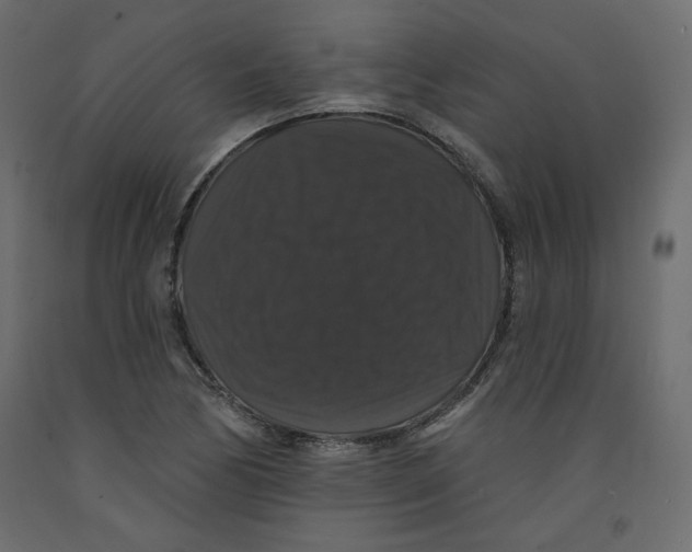 X0000092321170200710121516