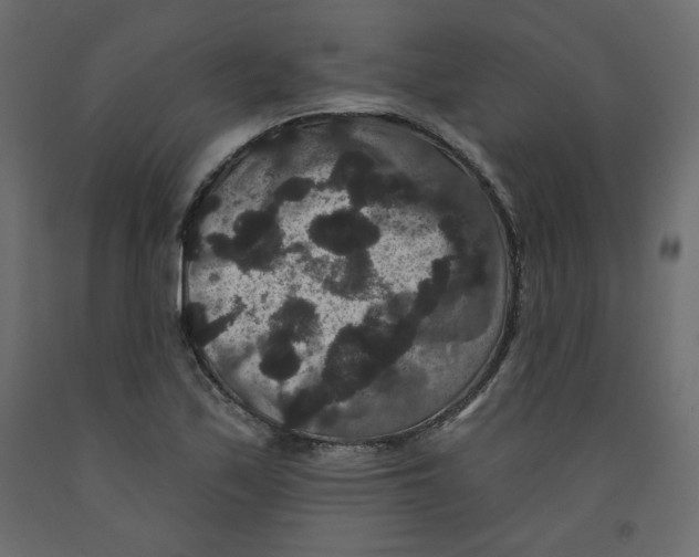 X0000092321171200710121516