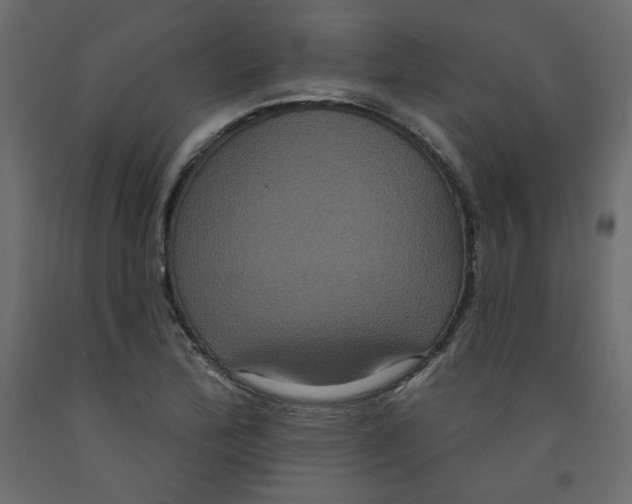 X0000092321172200710121516