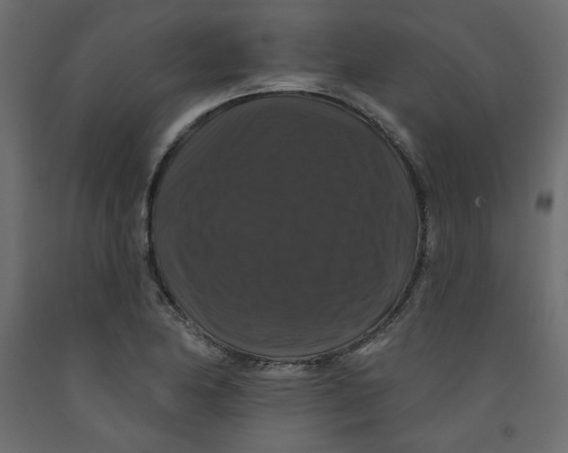 X0000092321174200710121516