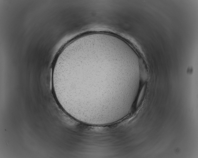 X0000092321175200710121516