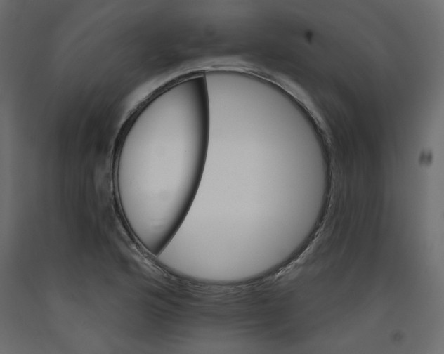 X0000092321176200710121516