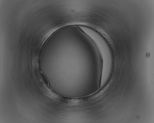 X0000092321177200710121516