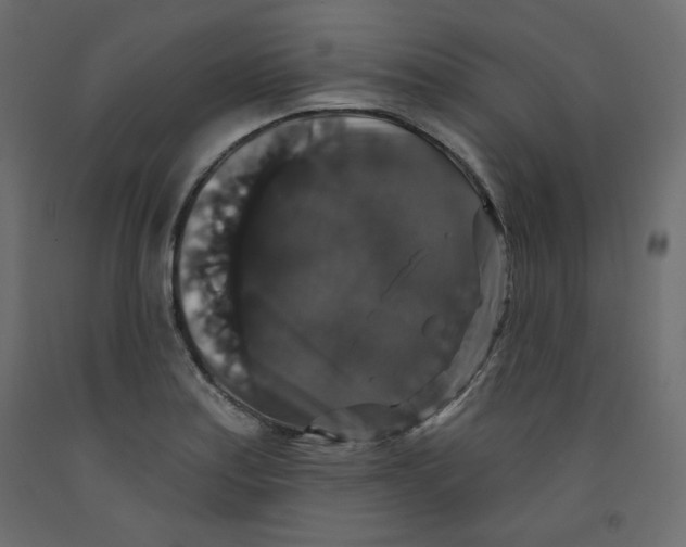 X0000092321179200710121516