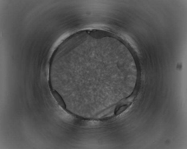 X0000092321180200710121516