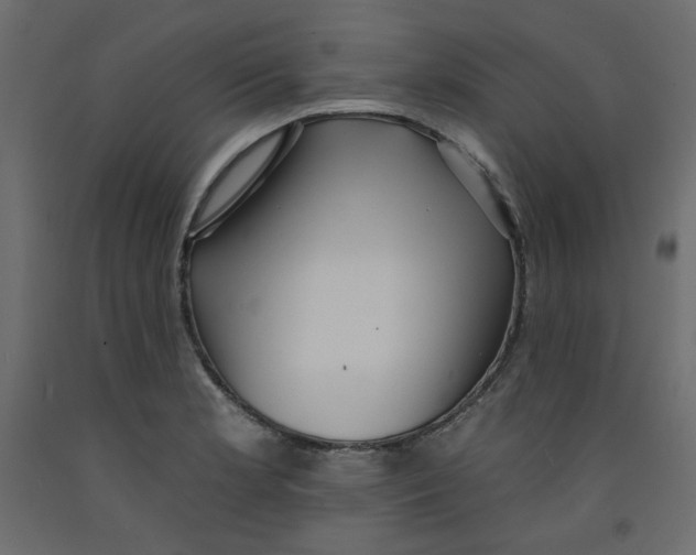 X0000092321181200710121516
