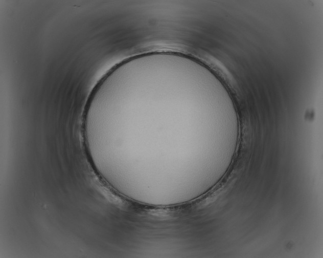X0000092321182200710121516