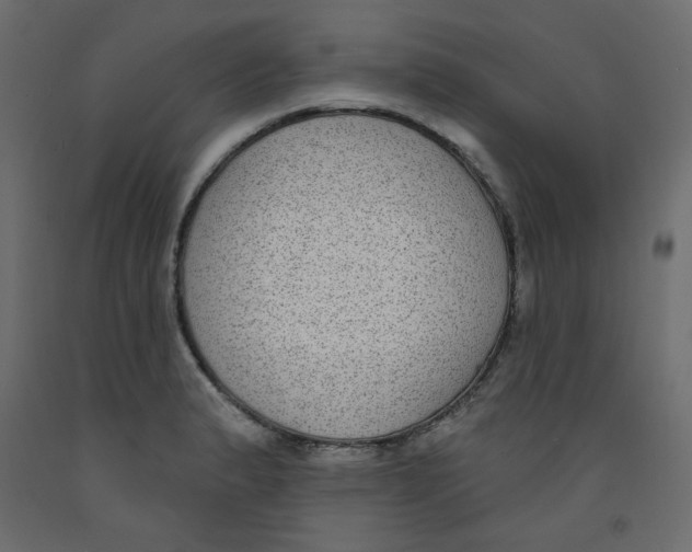 X0000092321183200710121516