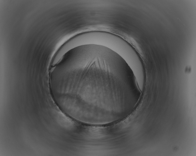 X0000092321184200710121516