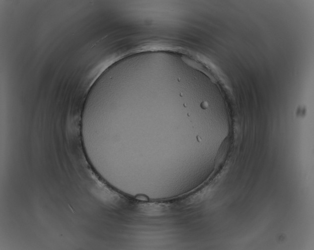 X0000092321185200710121516