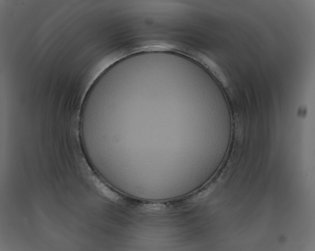 X0000092321186200710121516