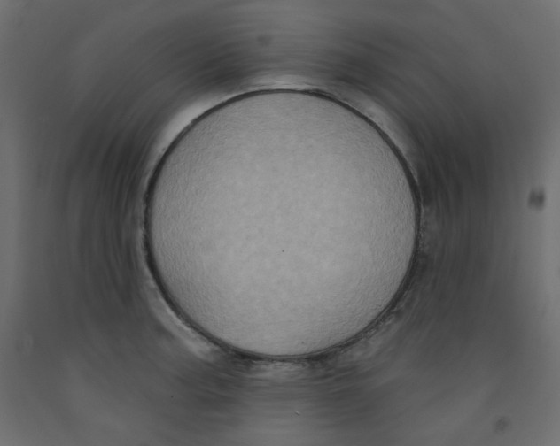 X0000092321187200710121516