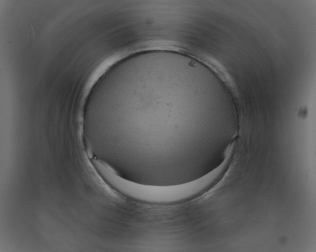 X0000092321188200710121516