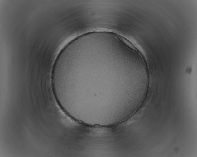 X0000092321189200710121516