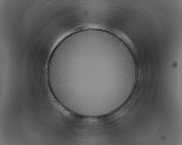 X0000092321190200710121516