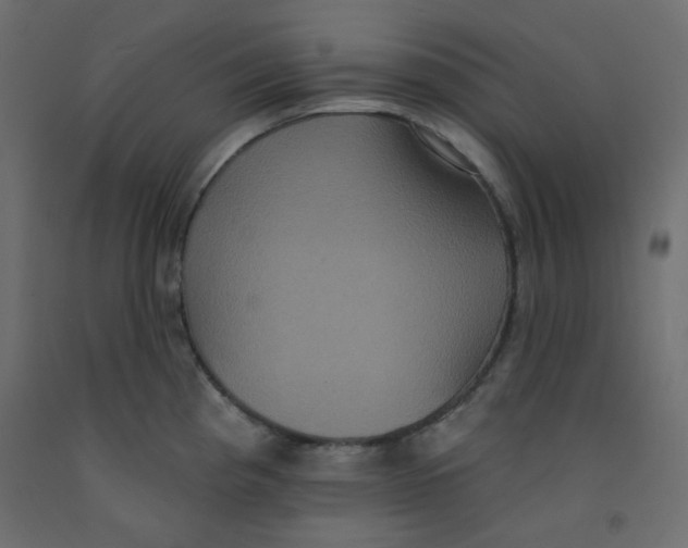 X0000092321193200710121516