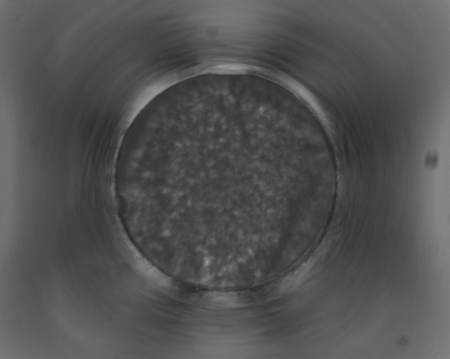 X0000092321194200710121516