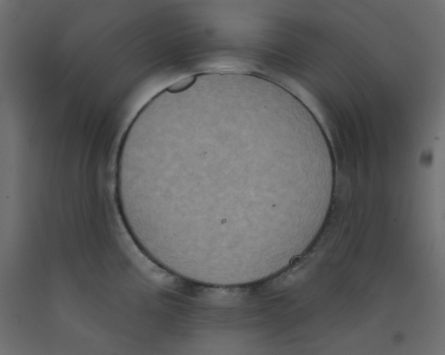 X0000092321195200710121516
