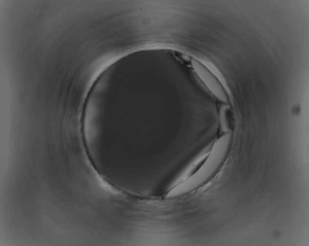 X0000092321197200710121516