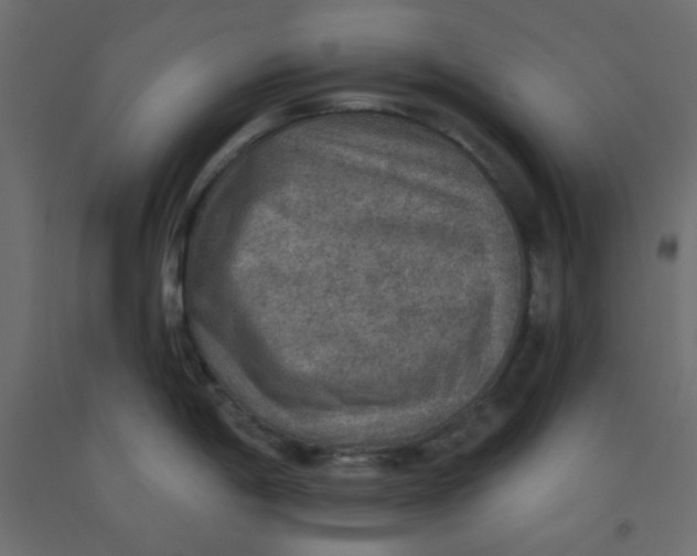 X0000092321198200710121516