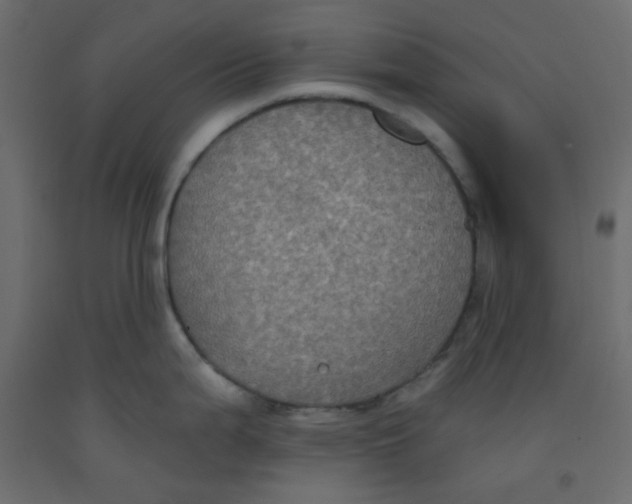 X0000092321199200710121516