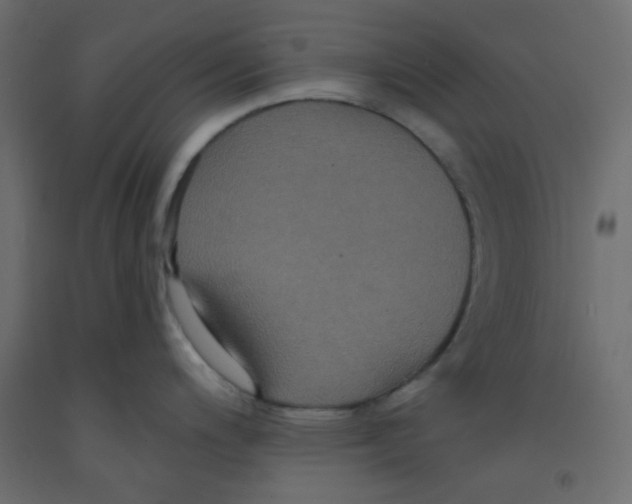 X0000092321200200710121516