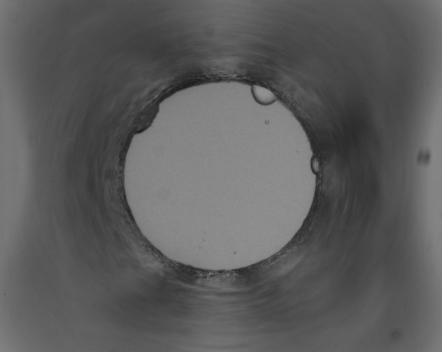 X0000092321201200710121516