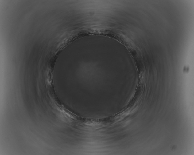 X0000092321202200710121516