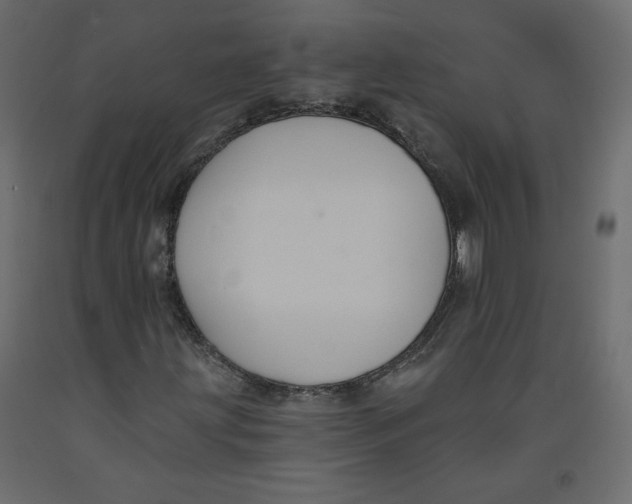 X0000092321203200710121516