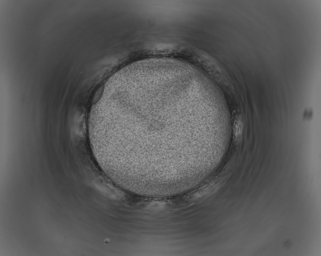 X0000092321204200710121516