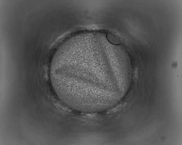 X0000092321205200710121516