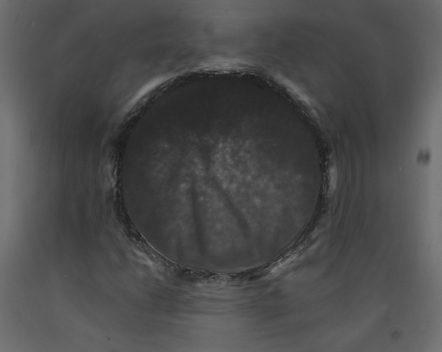 X0000092321206200710121516