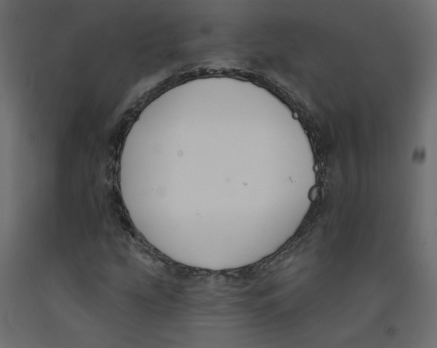 X0000092321207200710121516