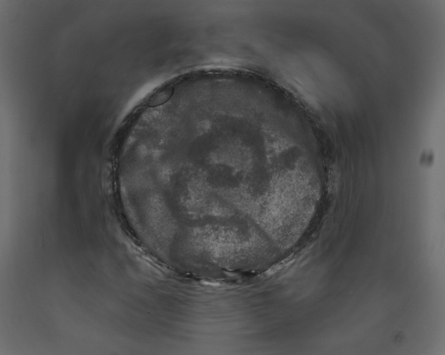 X0000092321208200710121516