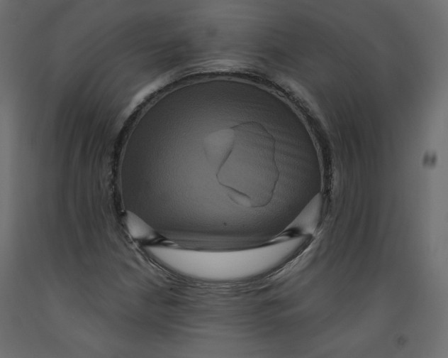X0000092321210200710121516