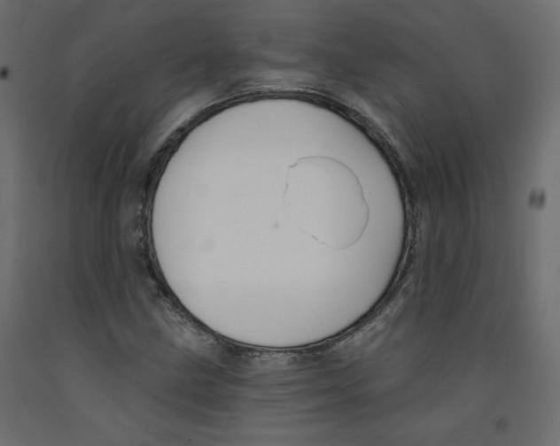X0000092321211200710121516