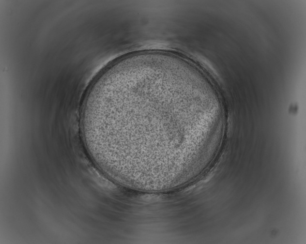 X0000092321212200710121516