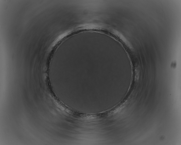 X0000092321213200710121516