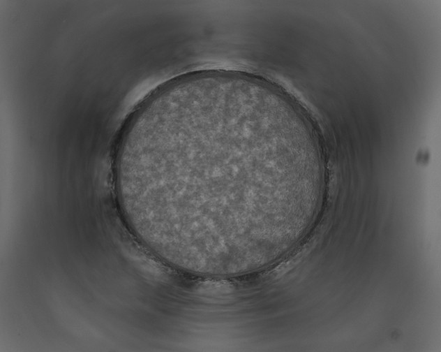 X0000092321215200710121516