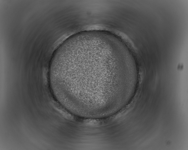 X0000092321217200710121516