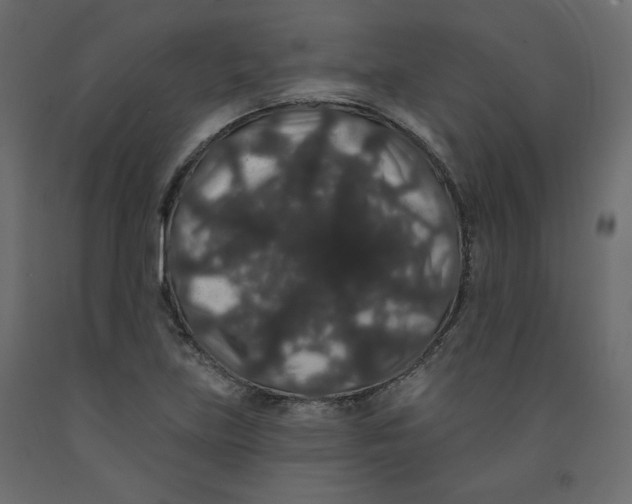 X0000092321219200710121516