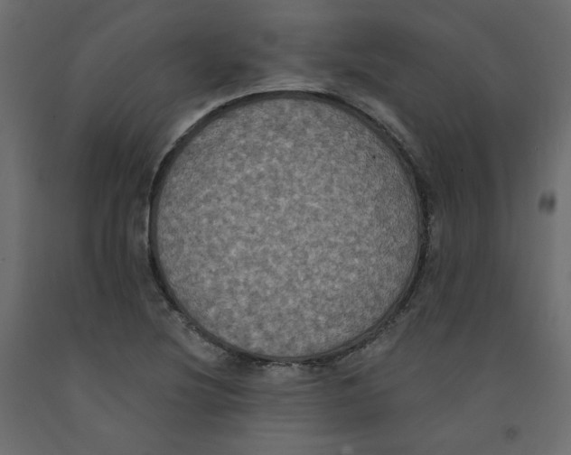 X0000092321220200710121516