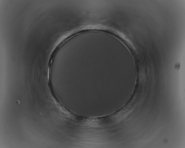 X0000092321221200710121516