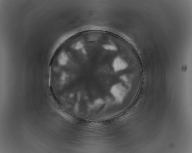X0000092321223200710121516