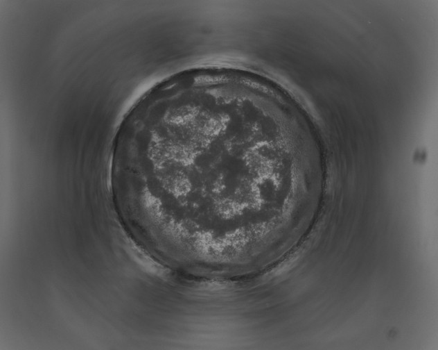 X0000092321224200710121516