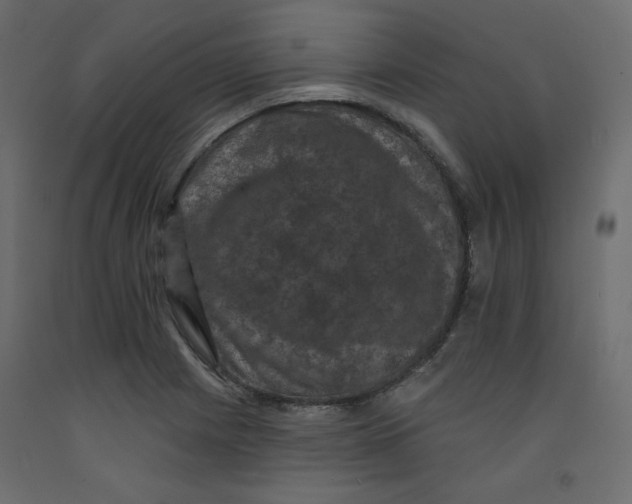 X0000092321225200710121516