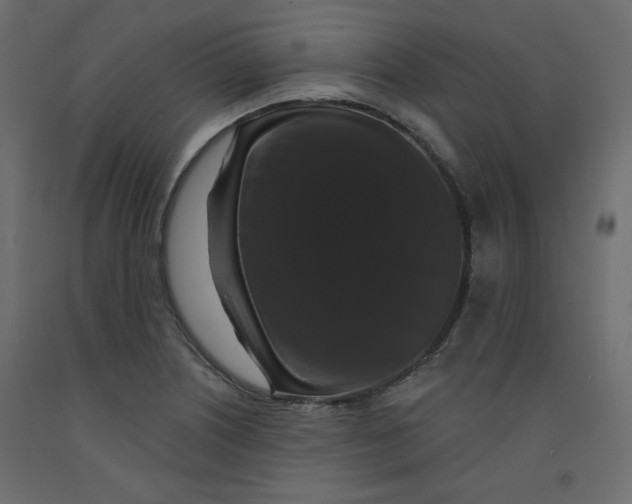 X0000092321226200710121516
