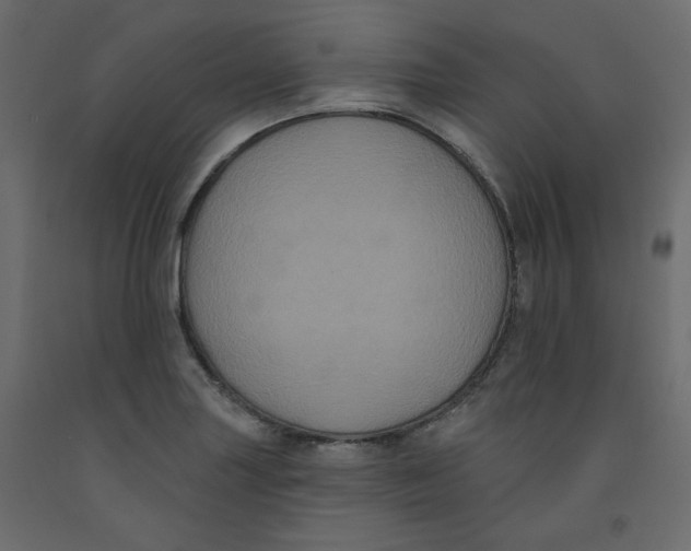 X0000092321227200710121516