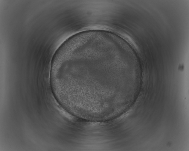 X0000092321228200710121516
